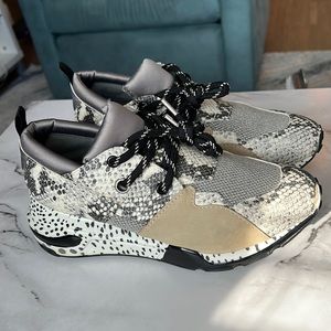 Steve Madden Cliff Sneakers